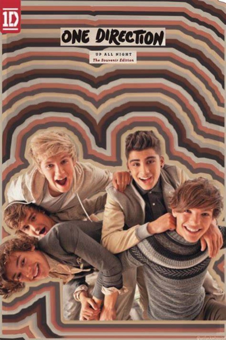 5 Best Up All Night Tour Outfits 1