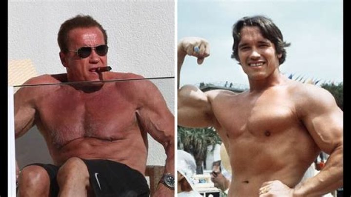 Arnold Schwarzenegger Taille Poids Arnold Schwarzenegger Taille Poids