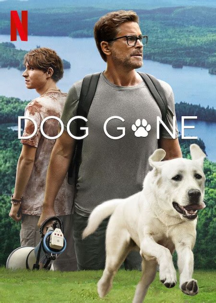 dog gone