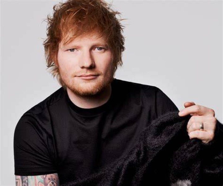 Image result for ed sheeran concert