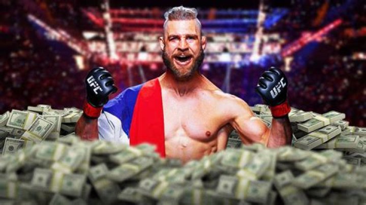 Jiri Prochazka net worth