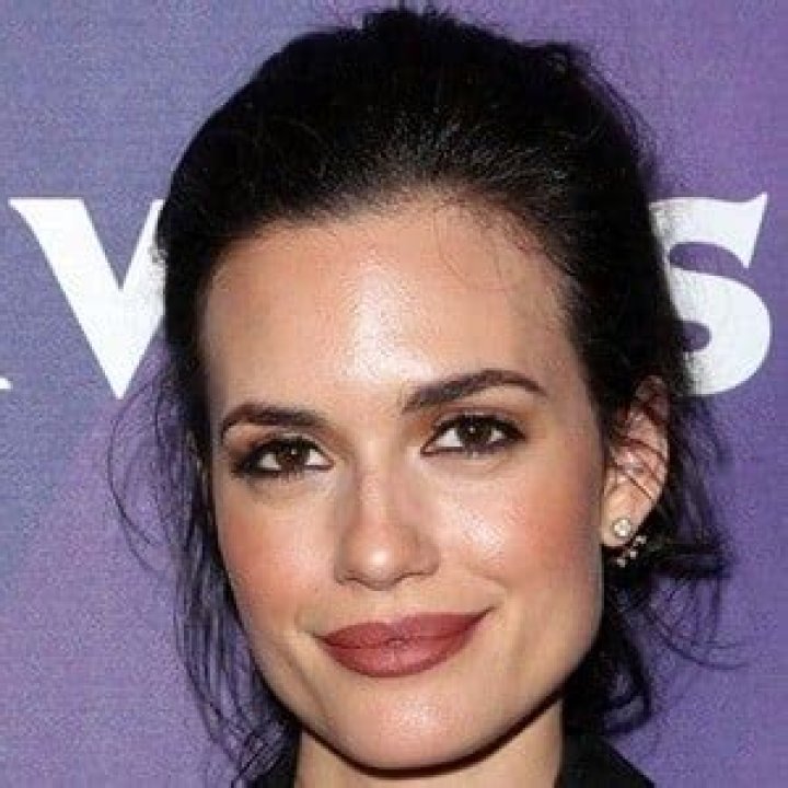 David Ross Girlfriend Torrey DeVitto Age, Height, Wikipedia Torrey DeVitto age
